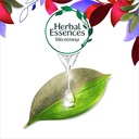 HERBAL ESS ARABICA COFFEE FRUIT SHAMPOO 400 ML